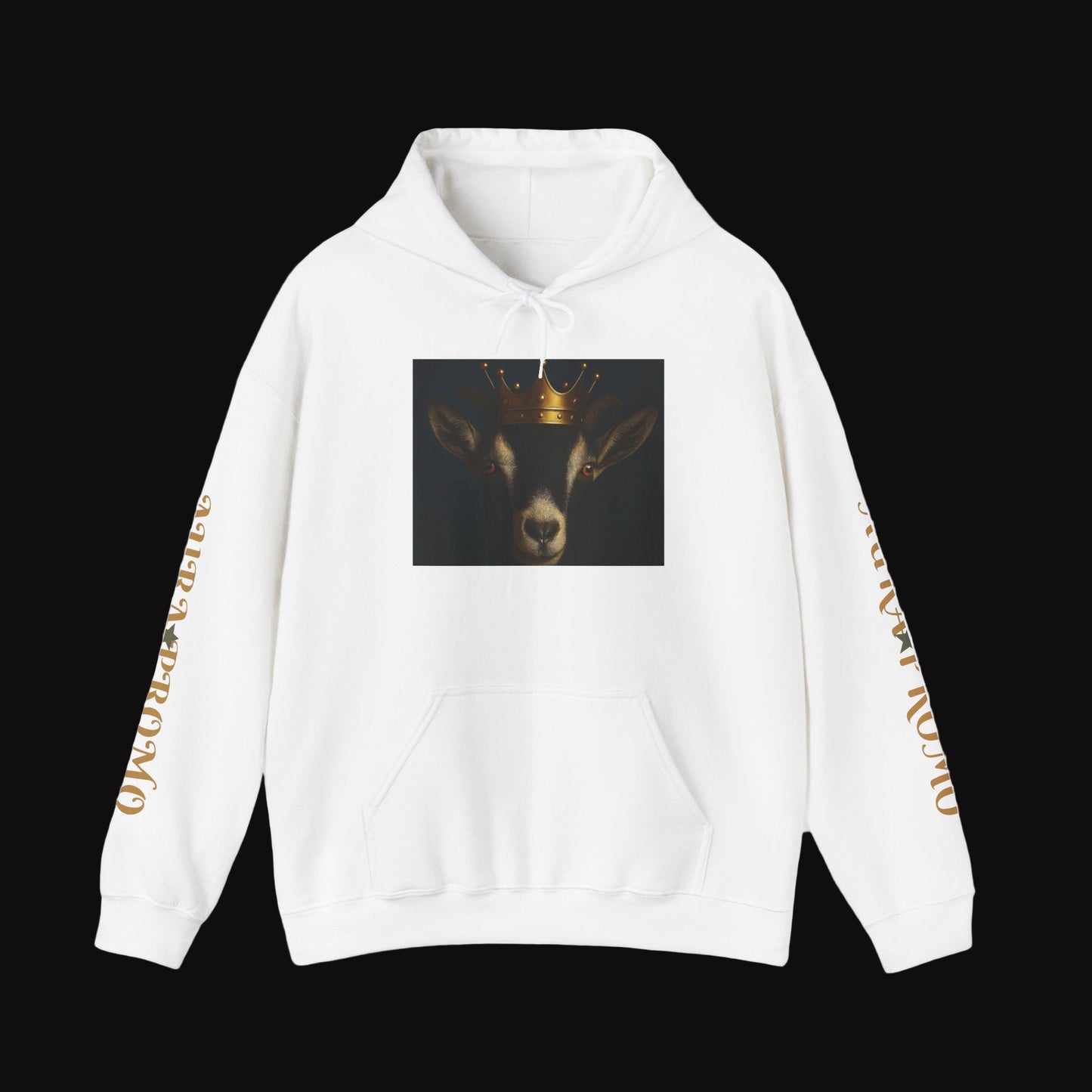 AURA PROMO HOODIES UNISEX