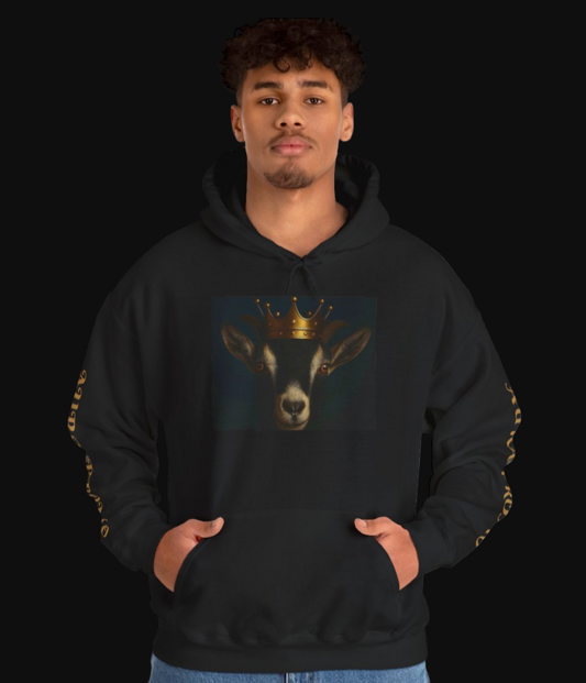 AURA PROMO HOODIES UNISEX