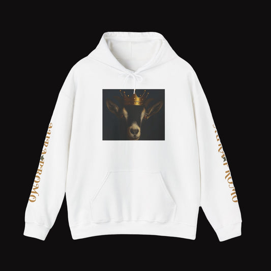 AURA PROMO HOODIES UNISEX